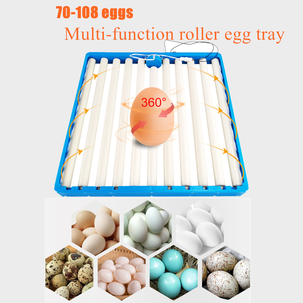 70 Eggs Incubator Automatic 36 - đánh giá và giá Hunting Quail
