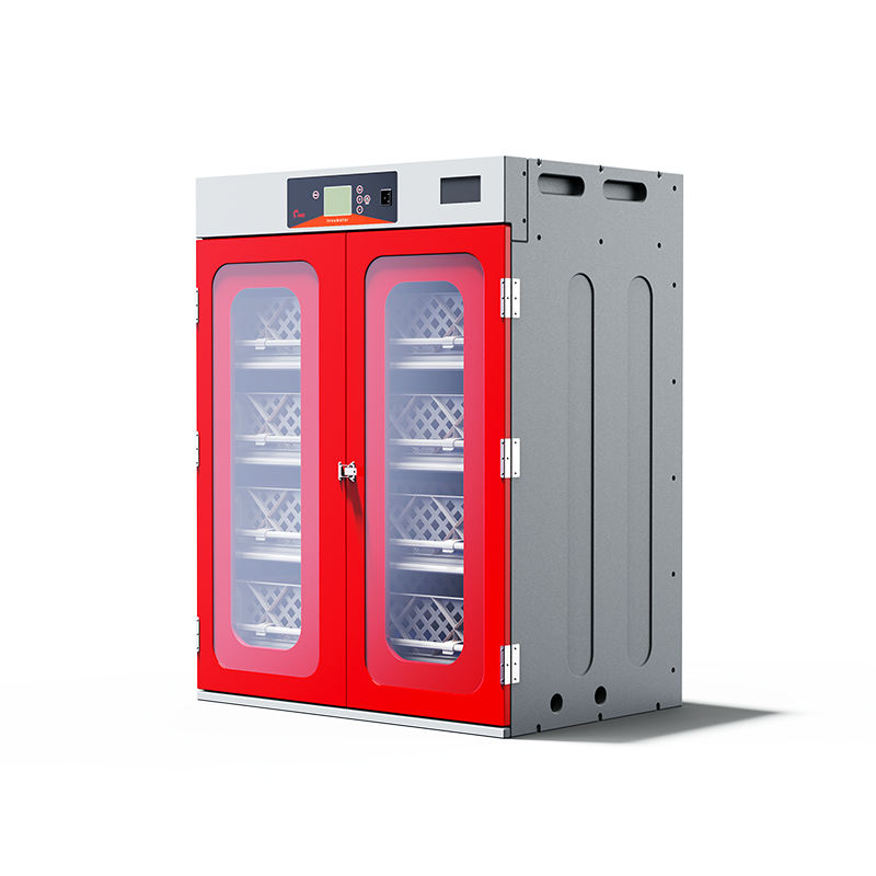 Automatic Egg Incubator With R - đánh giá và giá Hunting Quail